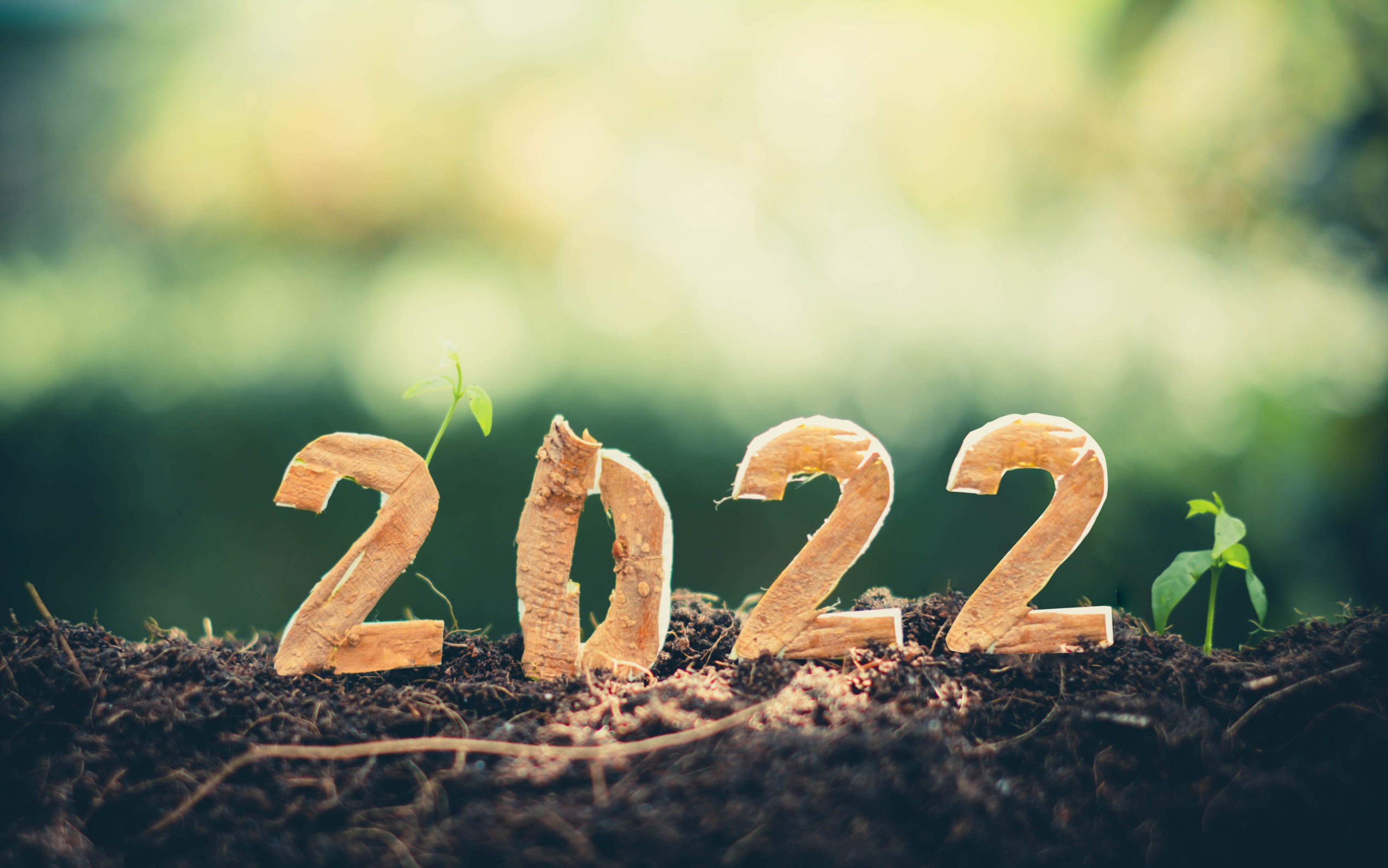 2022 on soil with growing plant