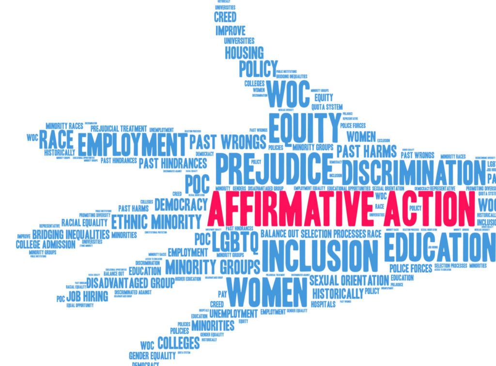 Affirmative Action Plans—A Potentially Important Safeguard For Race ...