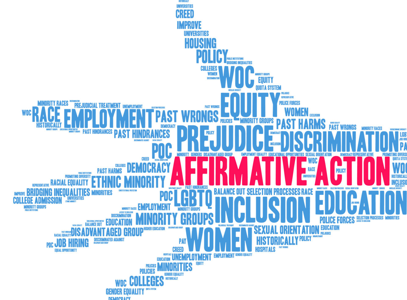 affirmative action что это