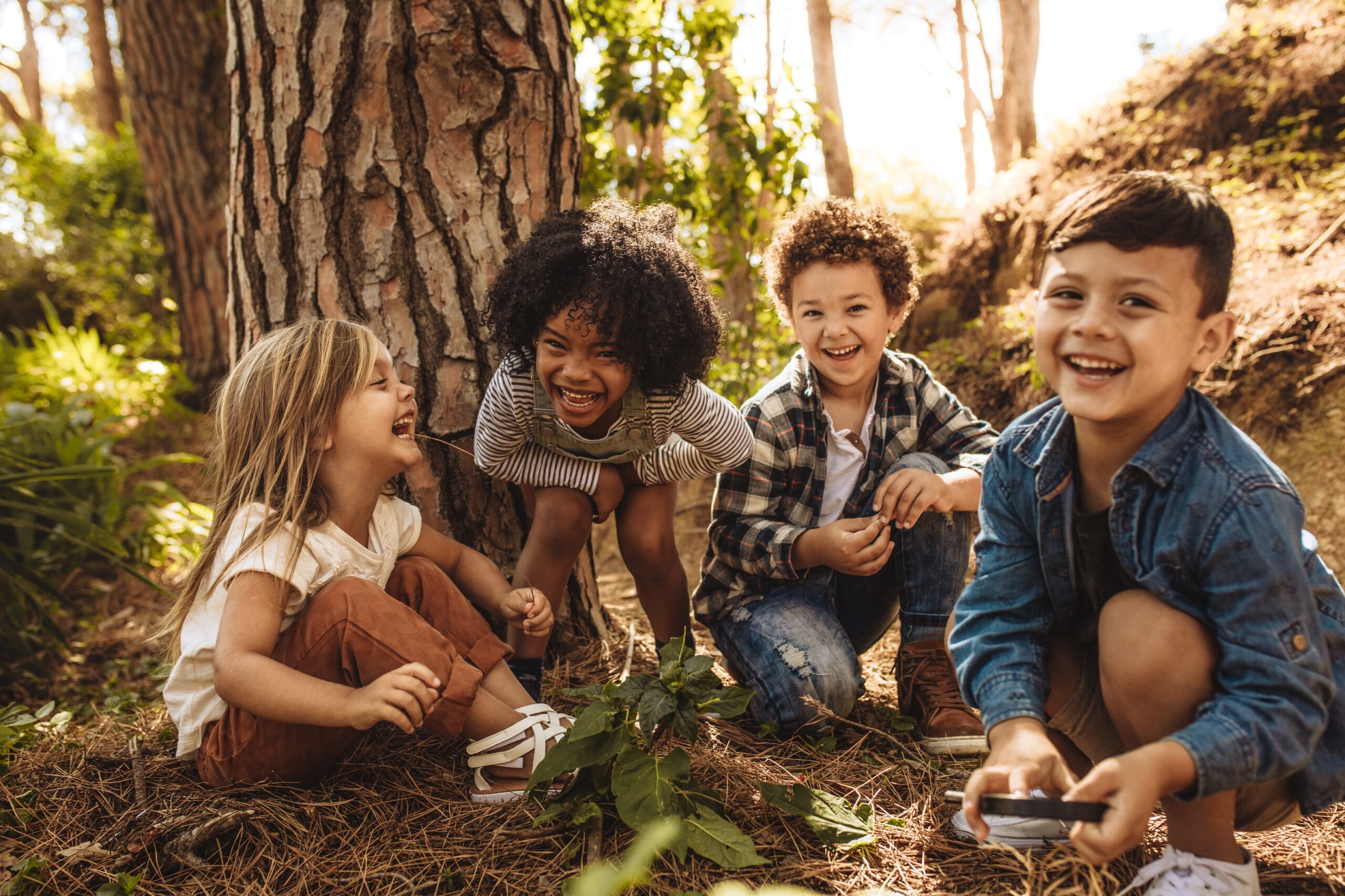 Group of young children sitting together in forest