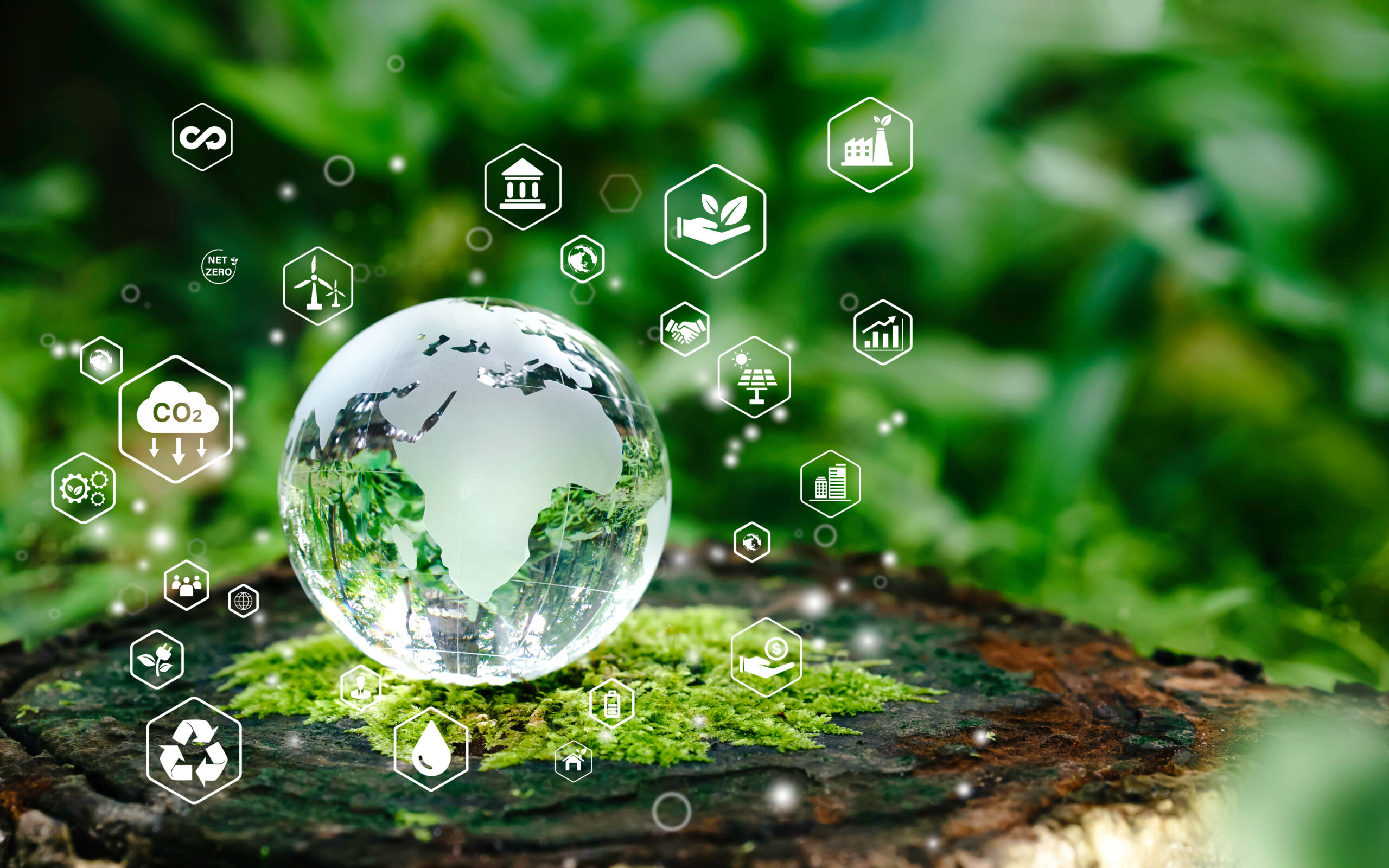 Glass globe in green forest with the icon environment of ESG, co2, circular company, and net zero