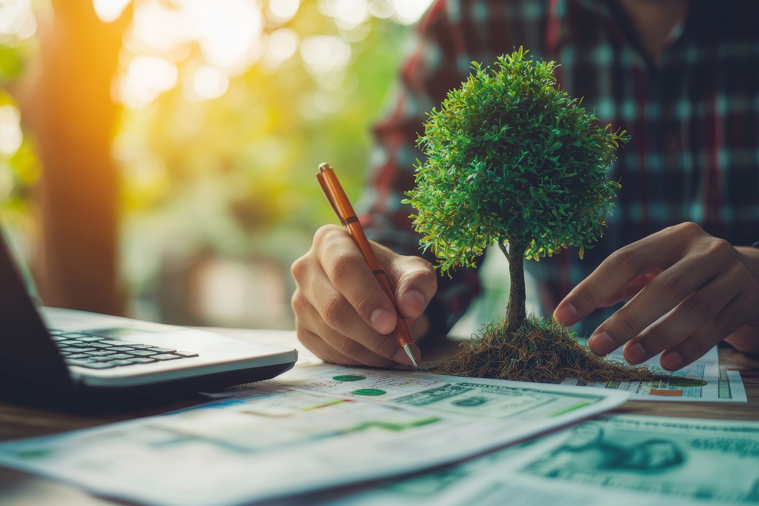 Hand holding pen writing a plan with a tree sitting on top of a desk