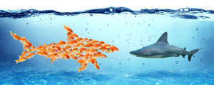 Nonprofit Collaborations The Structural Options Nonprofit Law Blog Nonprofit Collaborations The Structural Options Nonprofit Law Blog