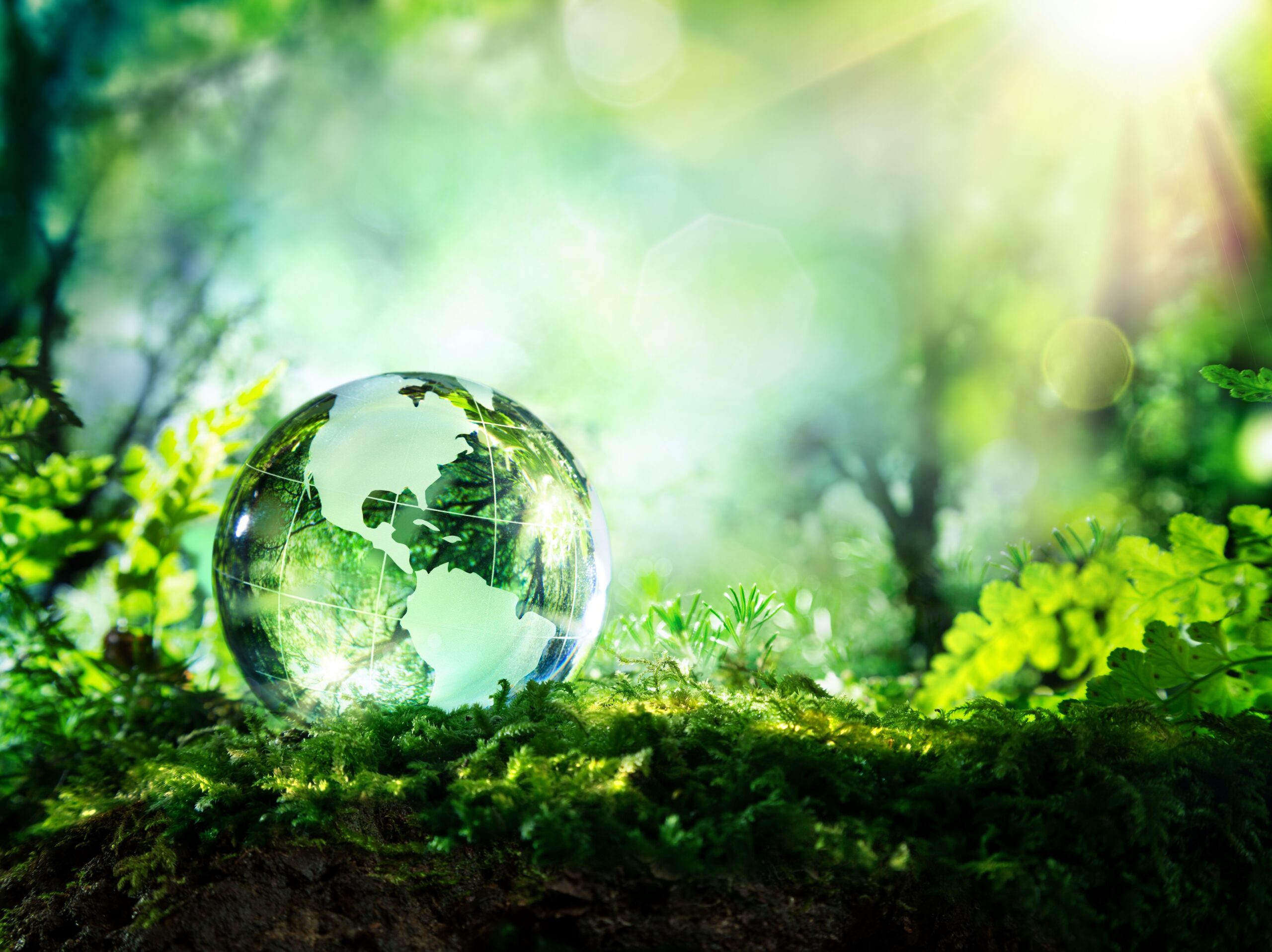 Glass model of Earth with a sunlit forest background