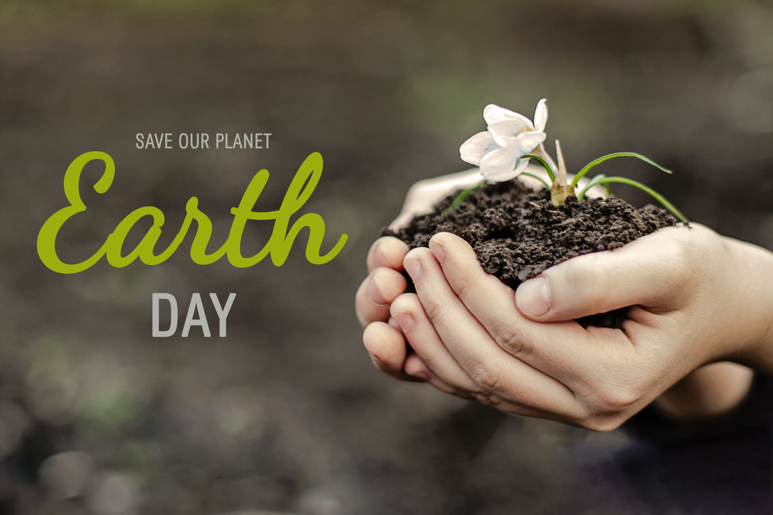 ext Save our planet. Earth day. child hands hold white flower growing from ground.