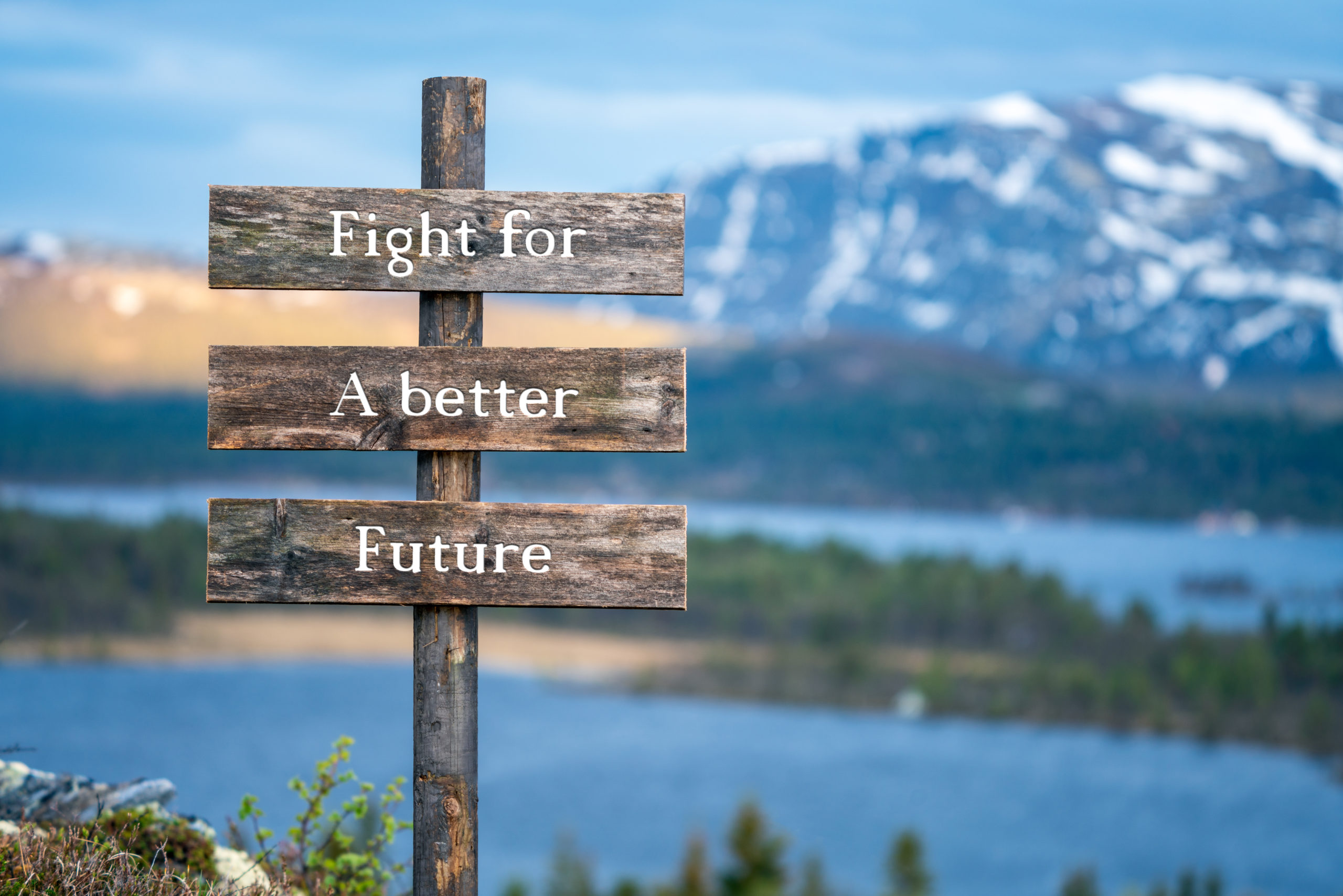 fight for a better future text on wooden signpost outdoors in landscape scenery during blue hour and sunset.