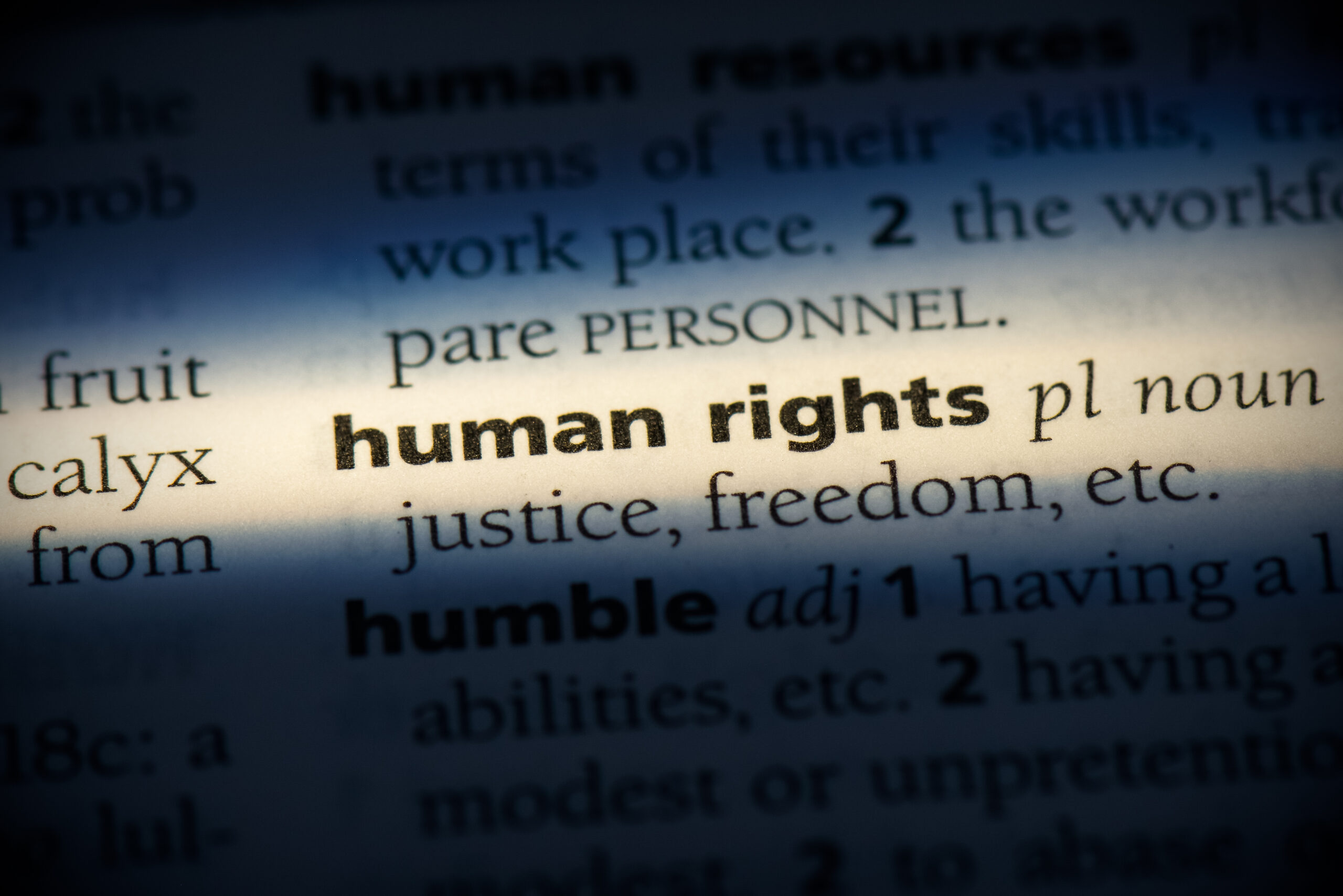 "human rights" highlighted as a definition in a dictionary