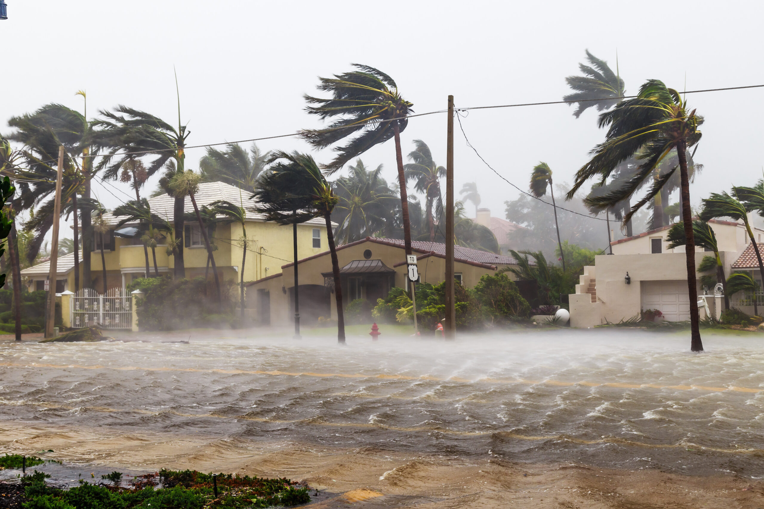 Flooded street with palm trees blowing from hurricane, homes in background