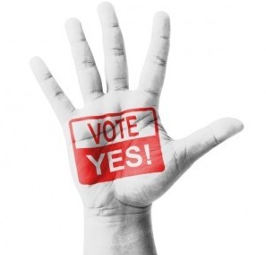 Open hand raised, Vote Yes sign painted, multi purpose concept -