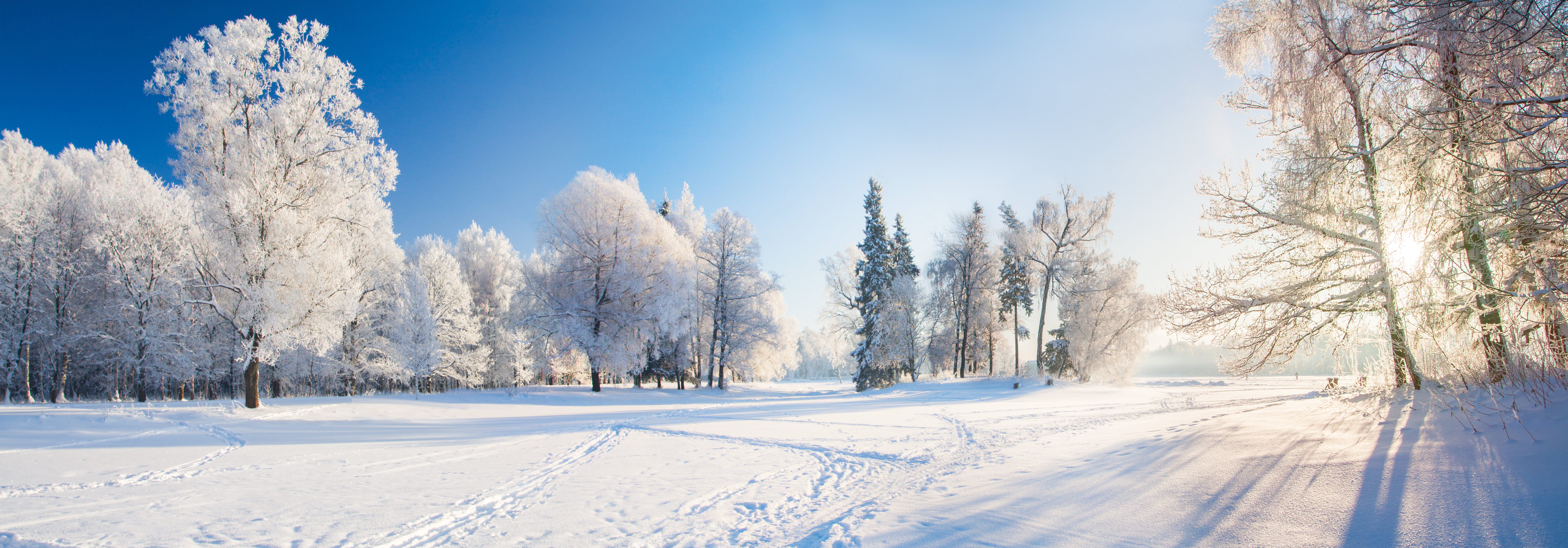 Panorama of beautiful winter park