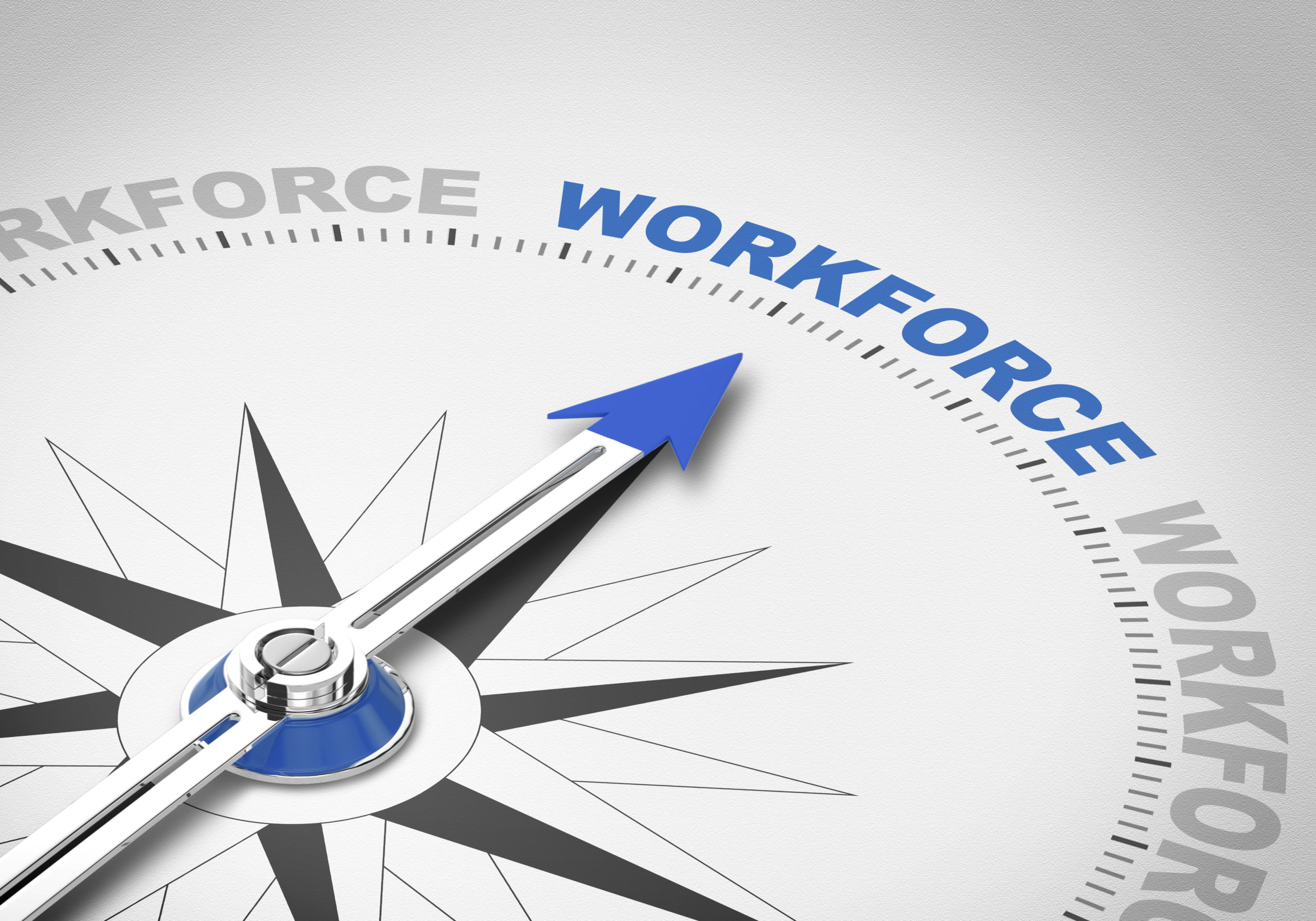 compass pointing to the word "WORKFORCE"