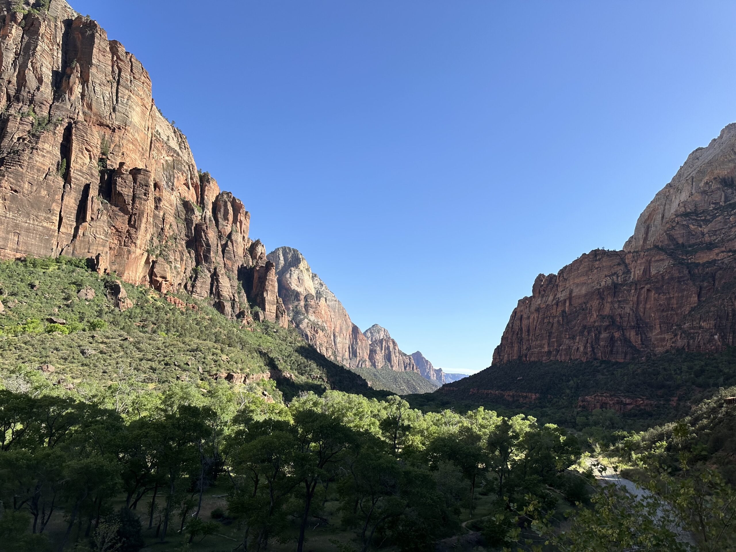 Photo of Zion National Park - canyons and green valley in daylight